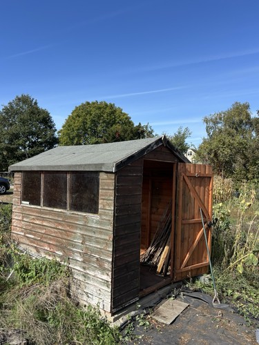 Wooden shed 8x4 - shed,